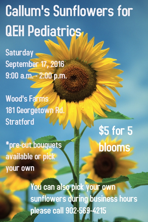 sunflower-poster